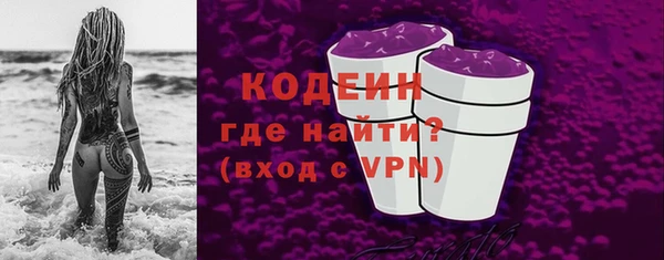 хмурый Ельня