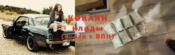 хмурый Ельня