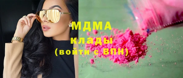 хмурый Ельня