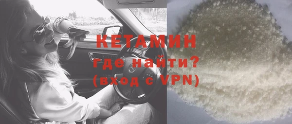 хмурый Ельня