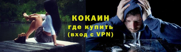 хмурый Ельня
