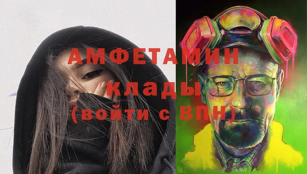 хмурый Ельня