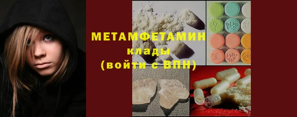 хмурый Ельня