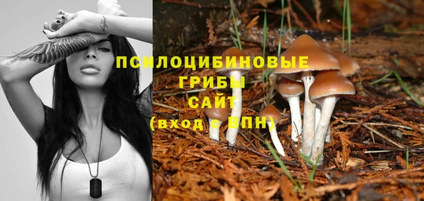 хмурый Ельня