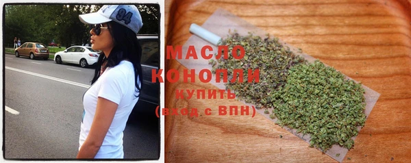 хмурый Ельня