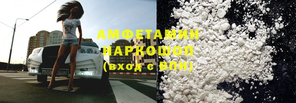 хмурый Ельня