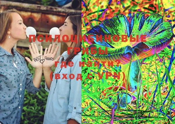 хмурый Ельня