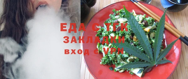хмурый Ельня
