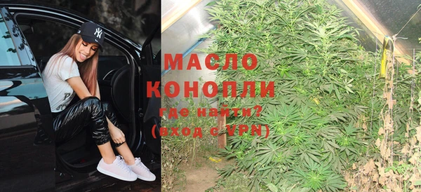 хмурый Ельня