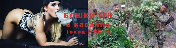 амф Елабуга