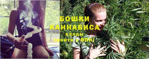 амф Елабуга