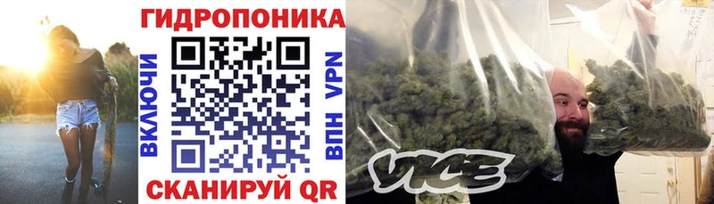 Купить закладки  Одинцово  Бошки Шишки SATIVA & INDICA 